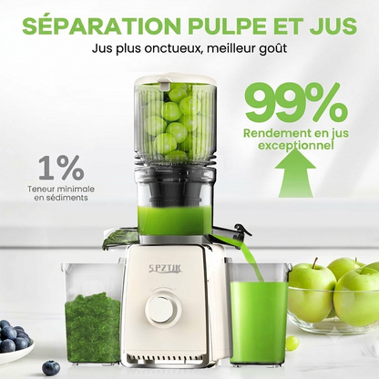 Extracteur de Jus à Pression Lente