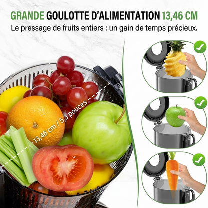 Extracteur de Jus à Pression Lente