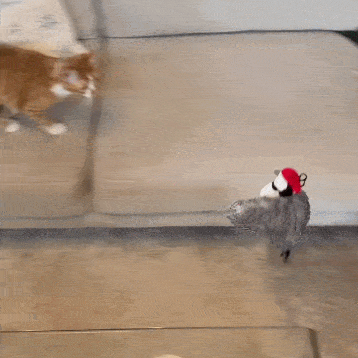 Flappy Bird – La Peluche Officielle